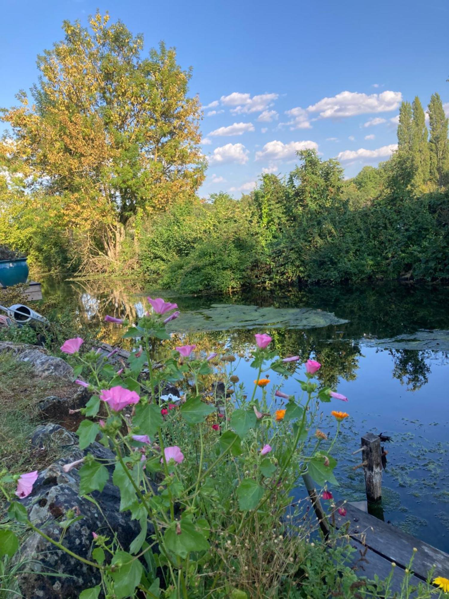 Cote Riviere